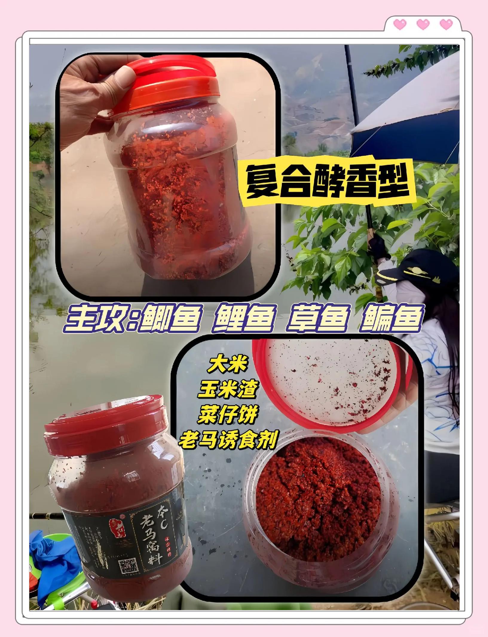 海钓窝料配方大全(海钓窝料配方及设备)