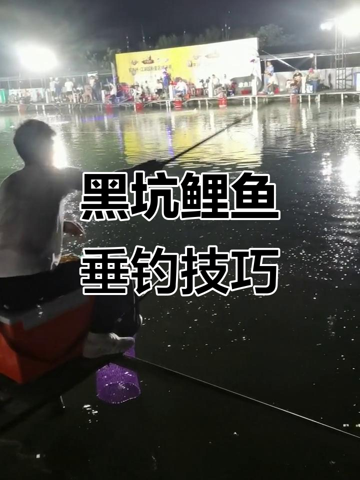 黑坑鲤鱼有技巧夏天(春季黑坑鲤鱼怎样抓口)