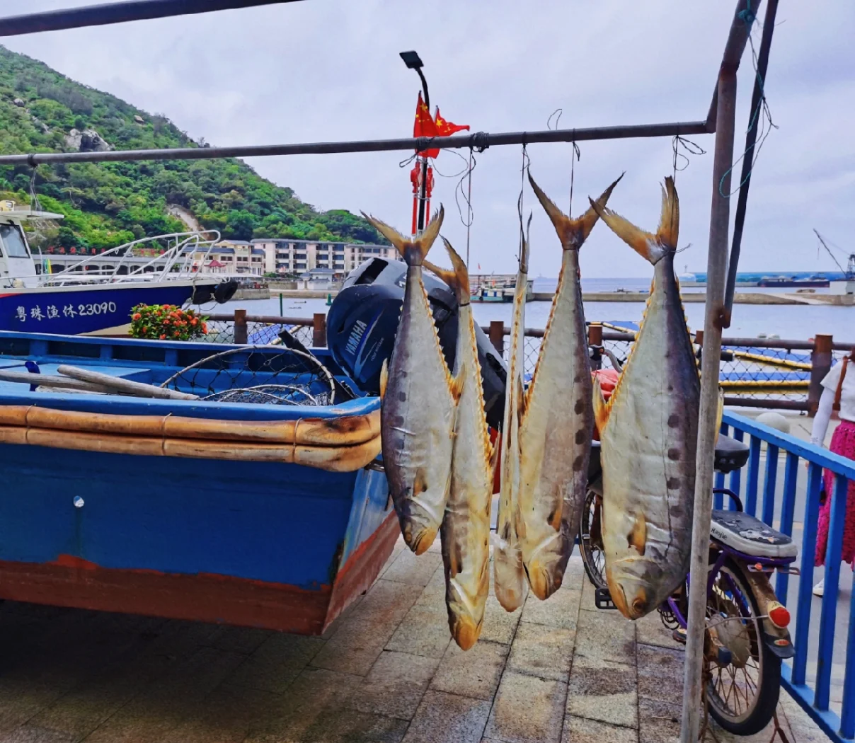 珠海钓鱼活跃群(珠海钓鱼网论坛交流)