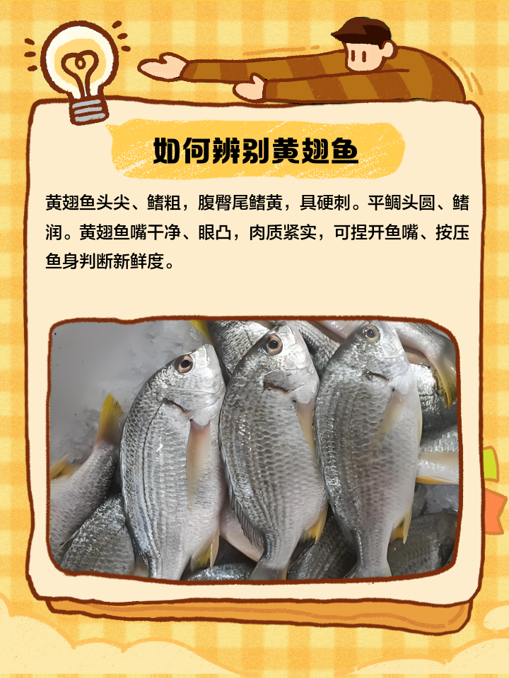 黄翅海钓钓法(海钓黄翅鱼技巧)
