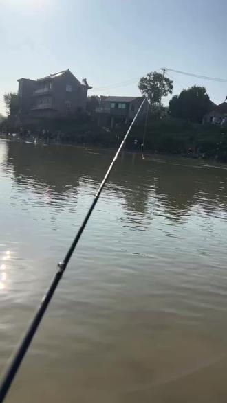 鳜鱼塘路亚(河道路亚鳜鱼)