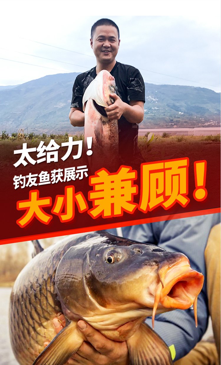 夏天酒香的饵料(夏天酒香的饵料有哪些)