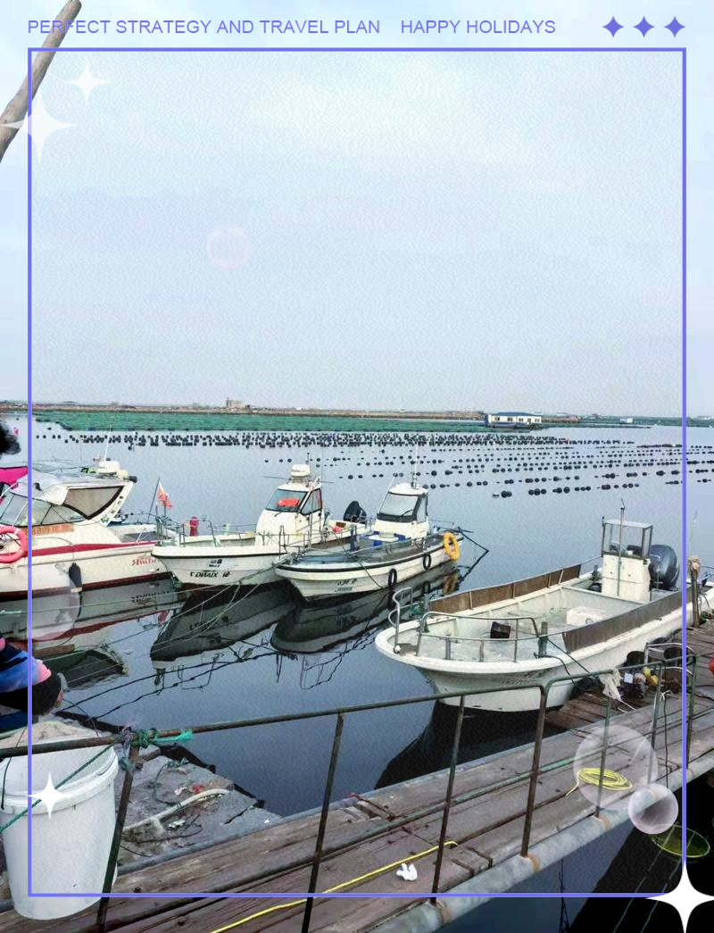 烟台龙口海钓地点(龙口海钓现在开始了吗?)