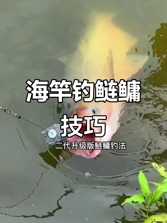 钓鲢鳙技巧钓鱼人必看(钓鲢鳙技巧大全2017最新)