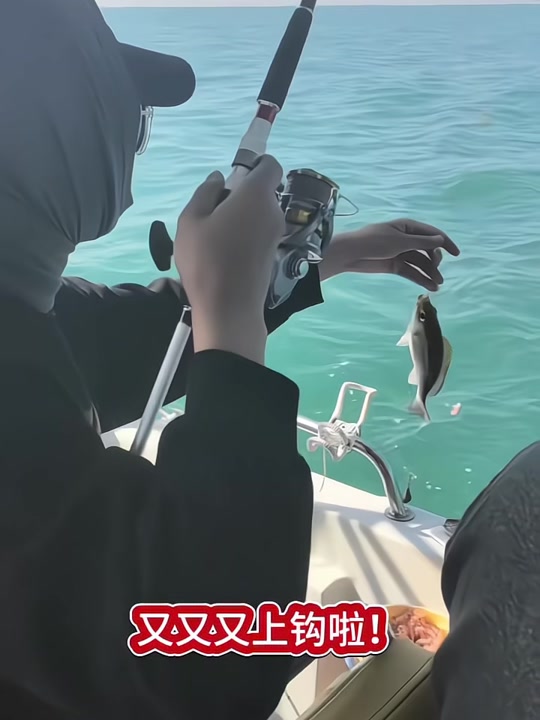 即墨海钓时间(即墨海钓时间表最新)