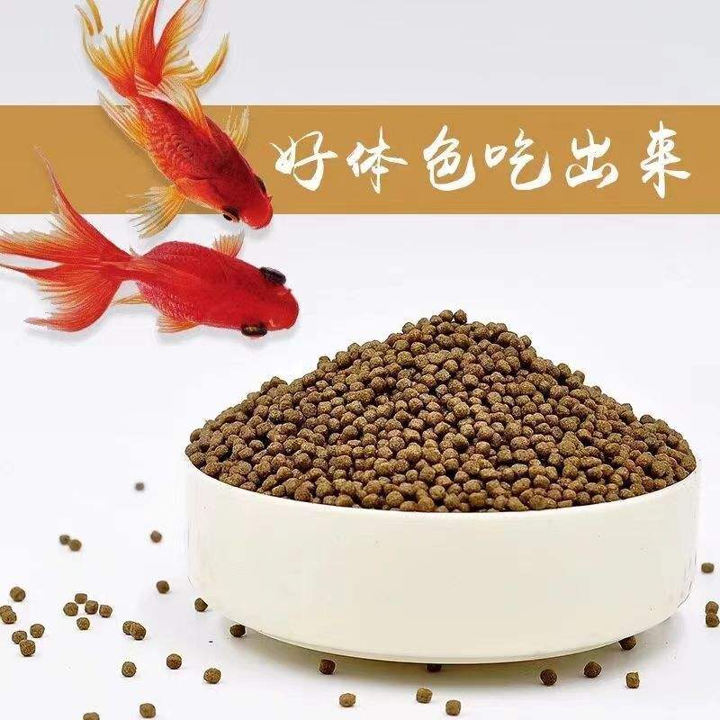鲤鱼饲料饵料(鲤鱼饲料饵料怎么配)