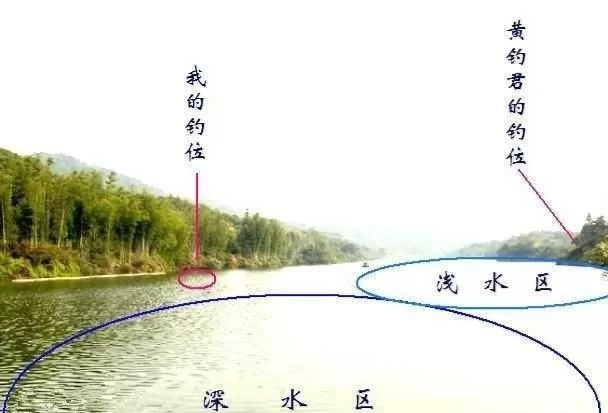 长塘钓鱼有哪些技巧(长塘钓鱼选择什么位置)