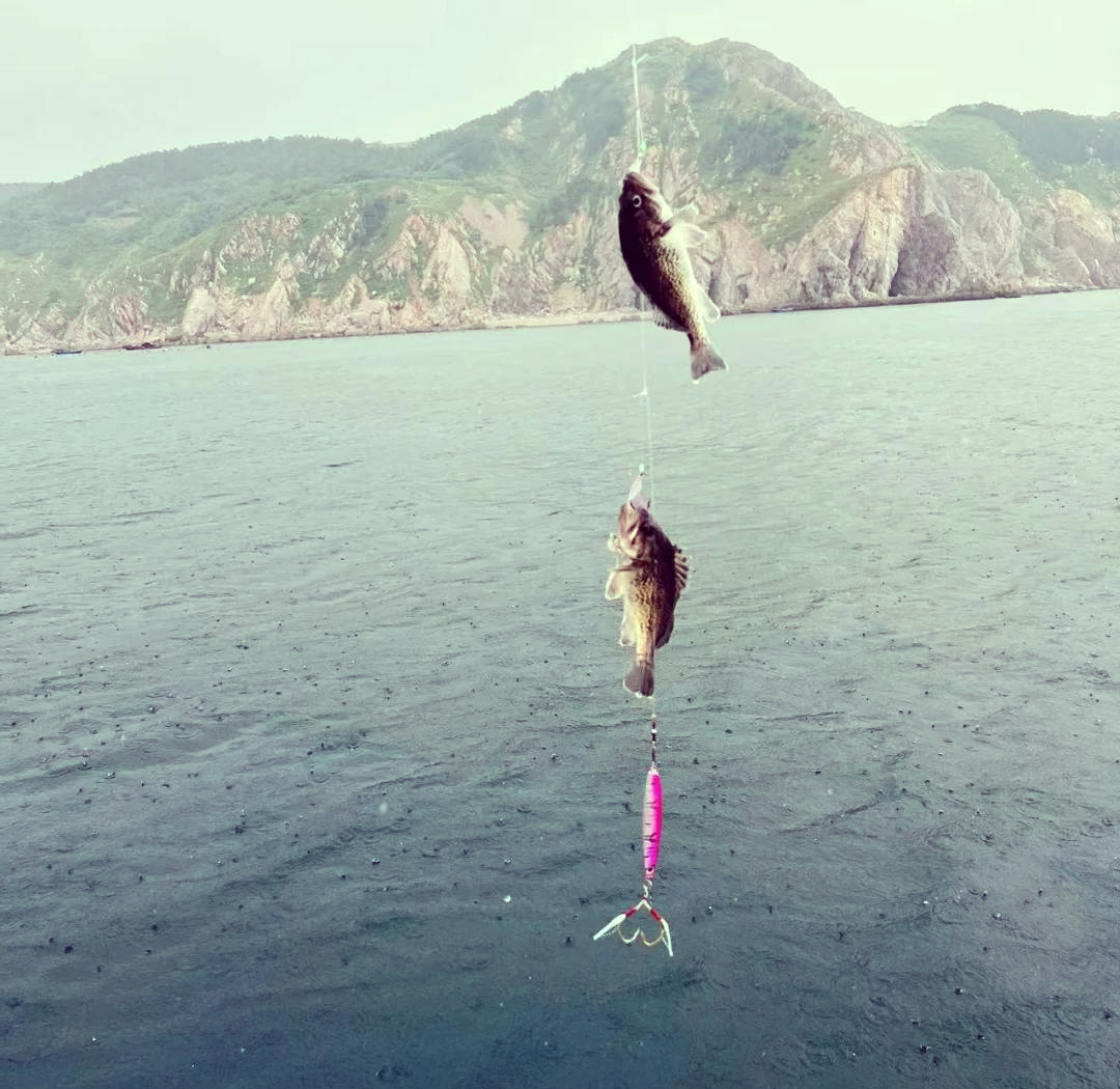鼓浪屿出海钓鱼(鼓浪屿出海钓鱼怎么样)