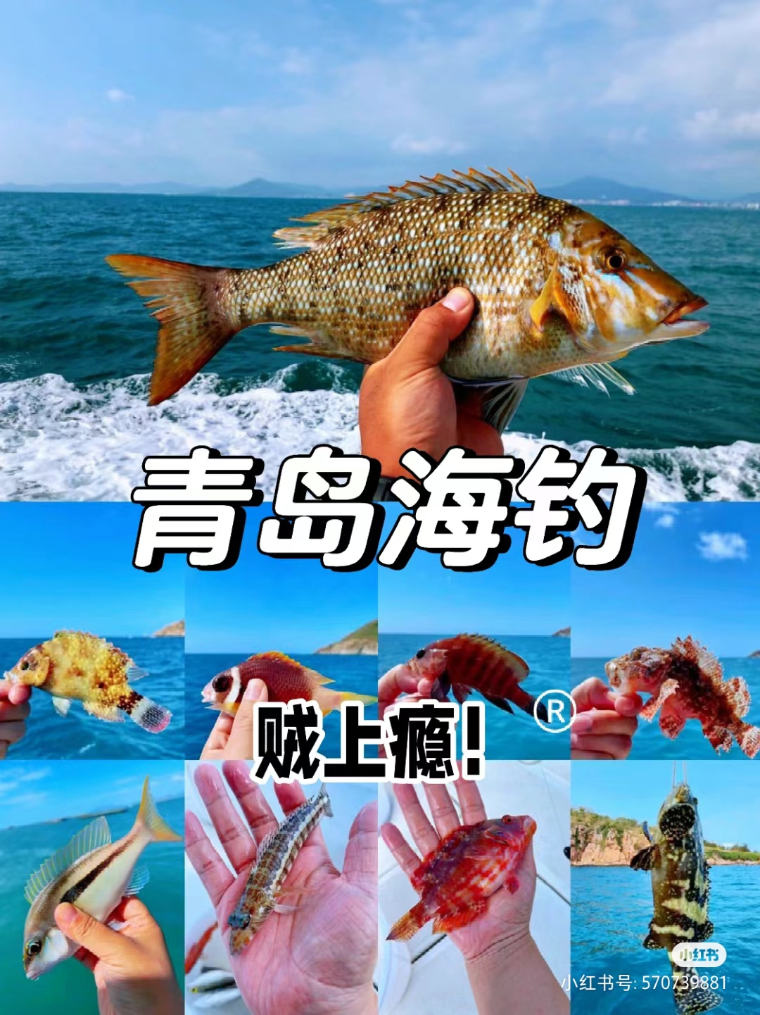 上海海钓场所(上海海钓场所关门了吗)
