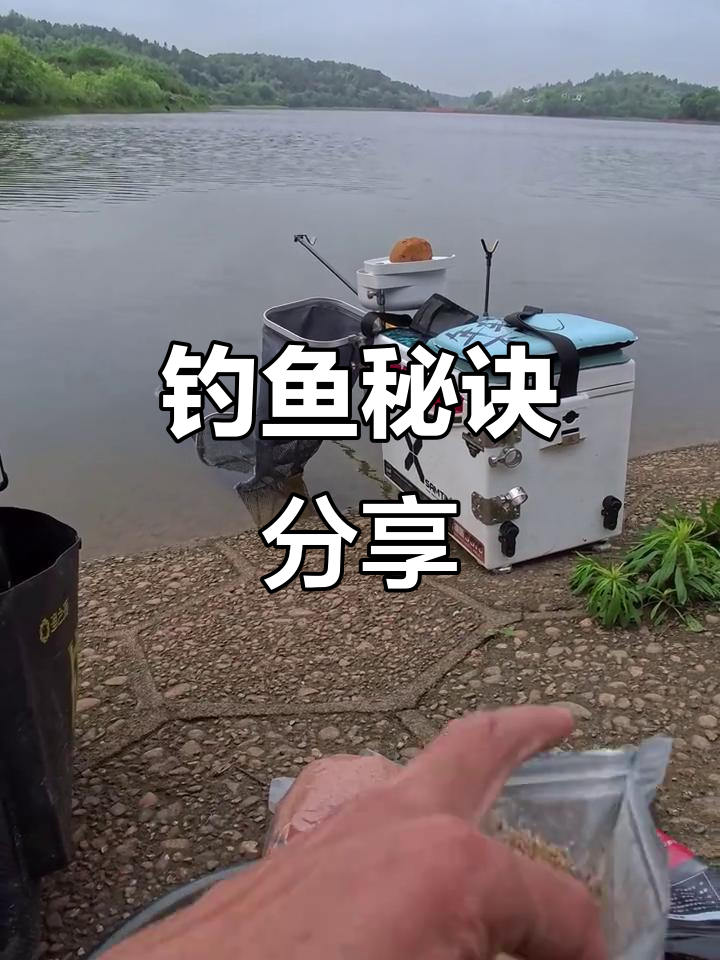 台钓鲤鱼诱饵技巧(台钓鲤鱼诱饵技巧和方法)