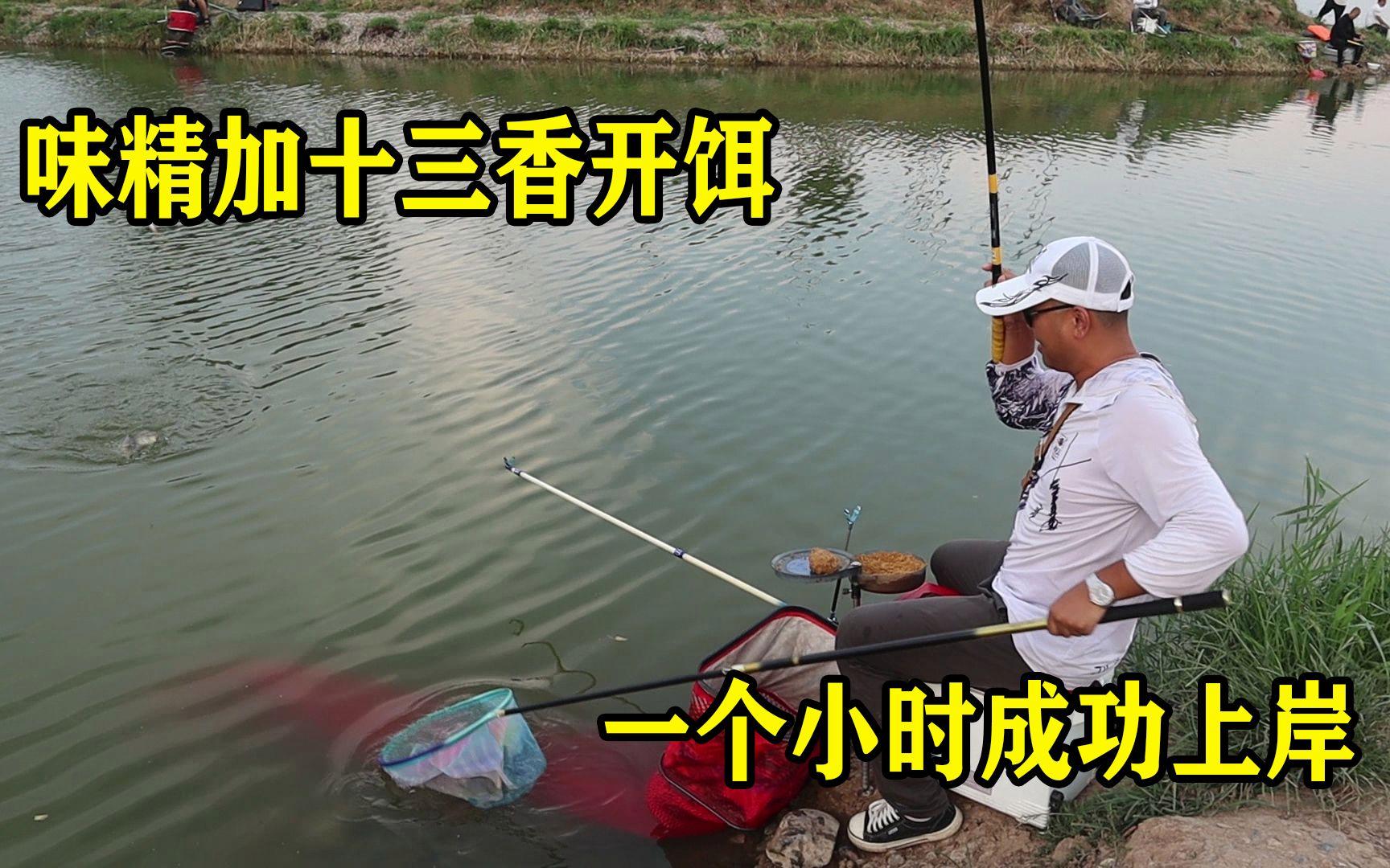 饵料放味精(饵料放味精有用么)