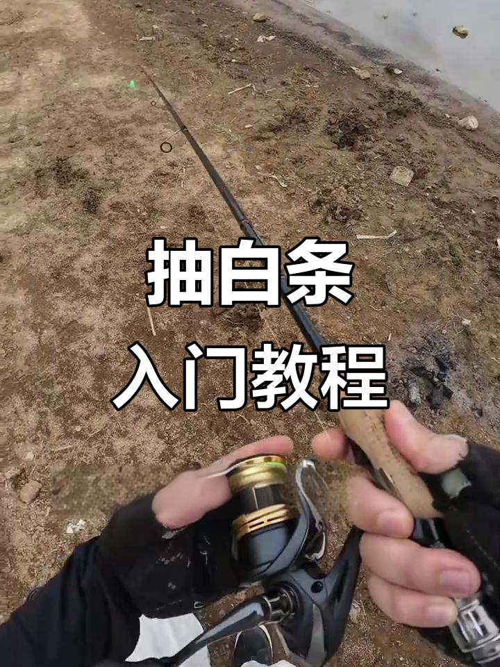 路亚路白条技巧(路亚钓白条的初学教学)