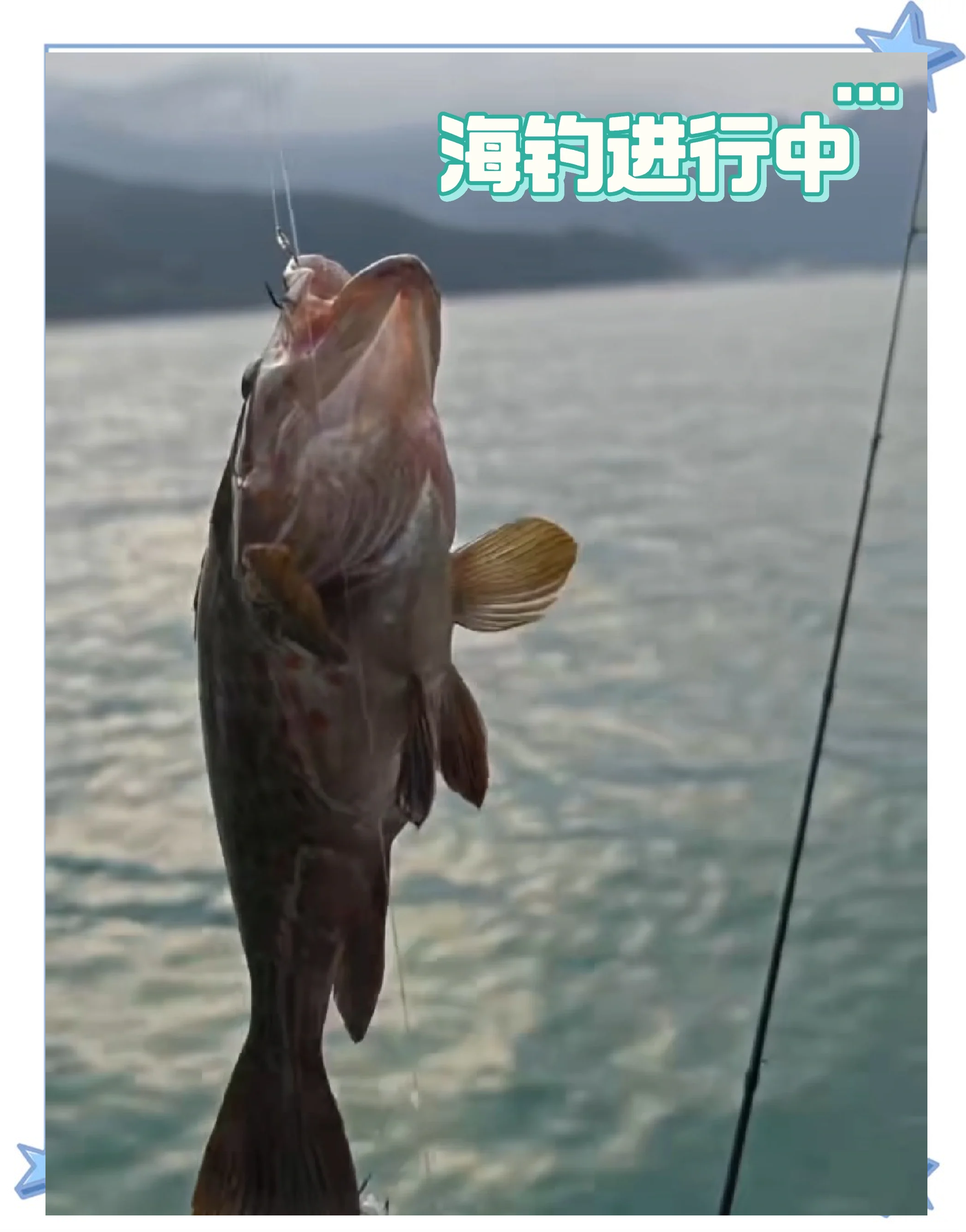 冬天南澳能海钓吗(冬天南澳有什么好玩的)