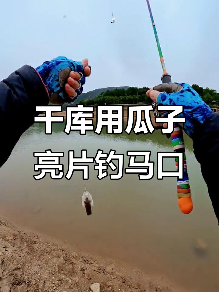 水库甩竿亮片技巧(水库甩竿亮片技巧和方法)