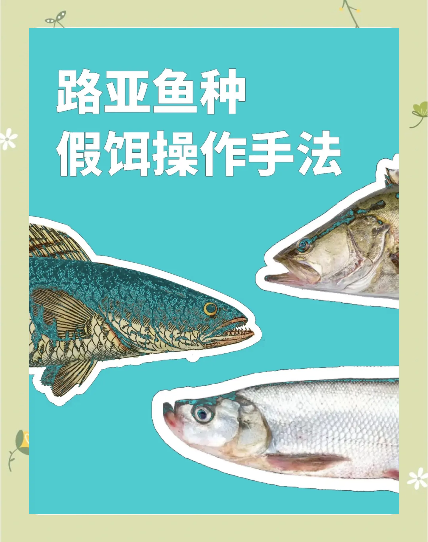 钓鱼技巧大(钓鱼技巧大分享)