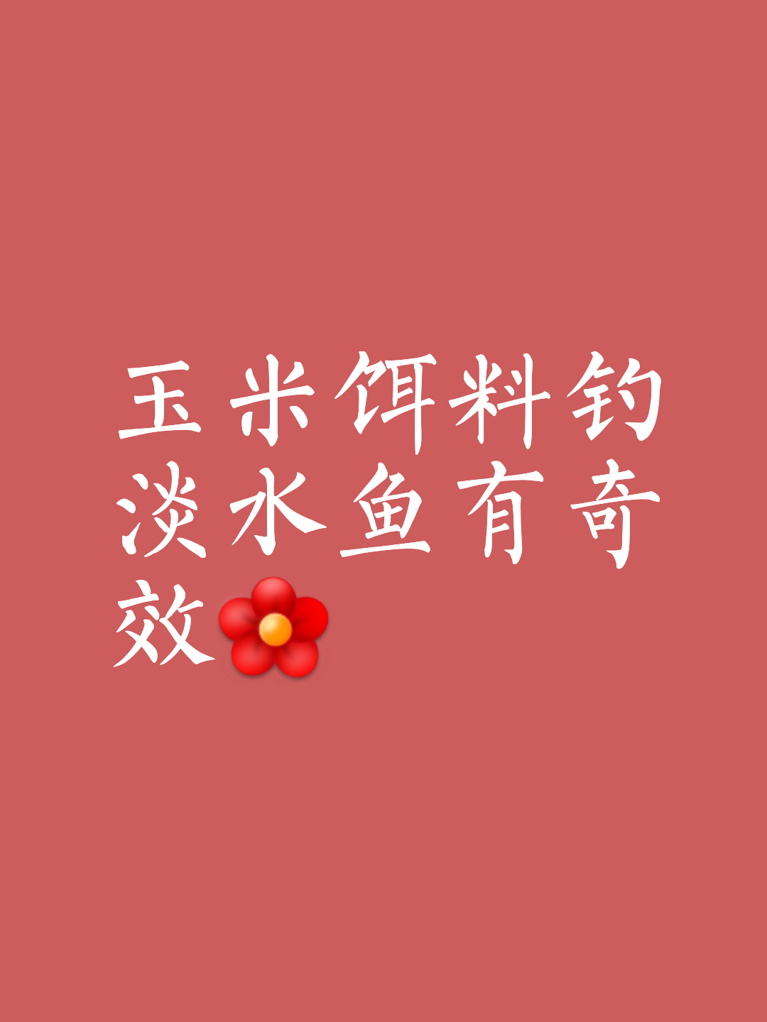 如何配置玉米饵料(如何配置玉米饵料视频)