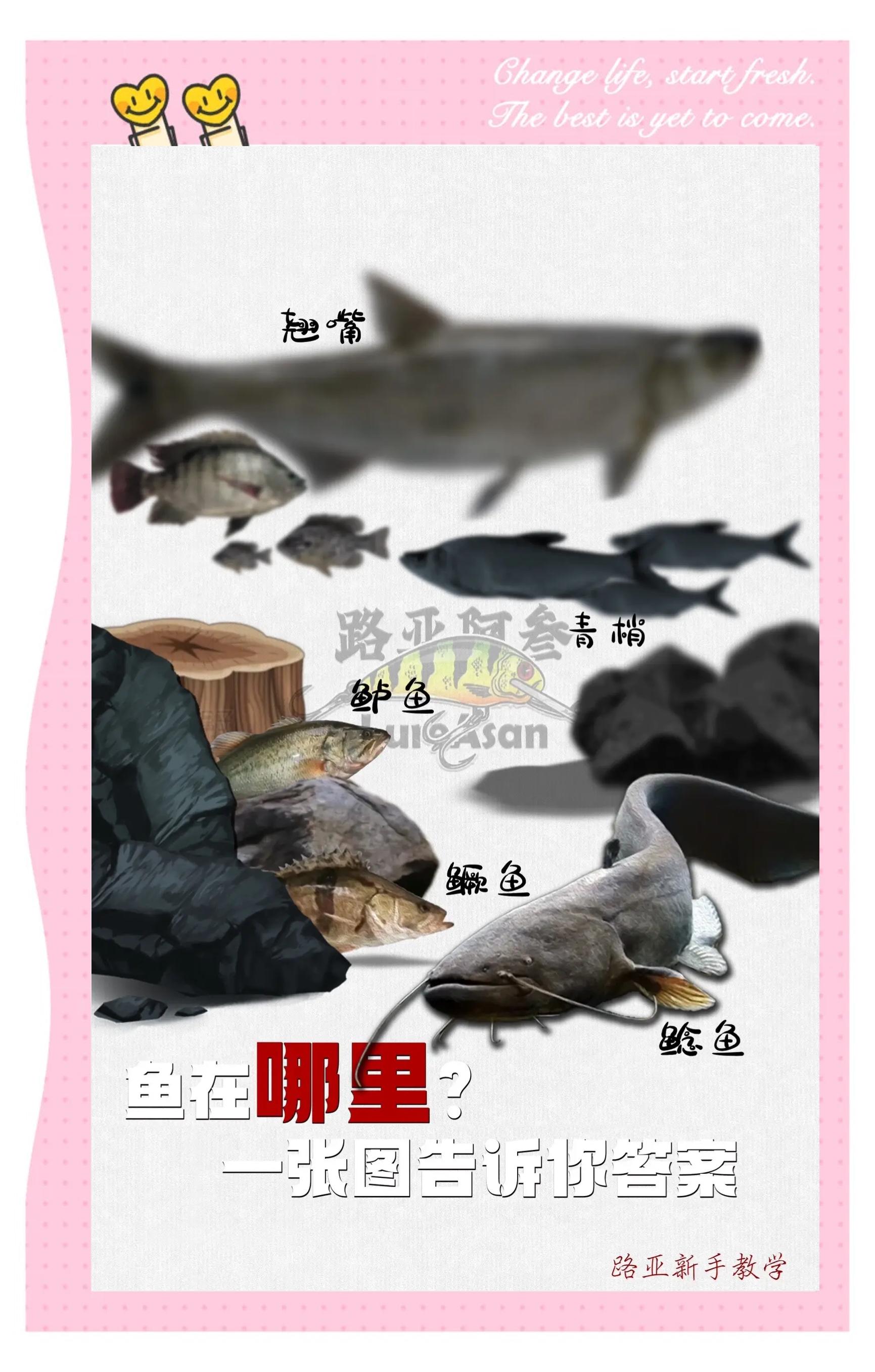湘江哪里适合路亚(湘江哪里适合路亚钓鱼)