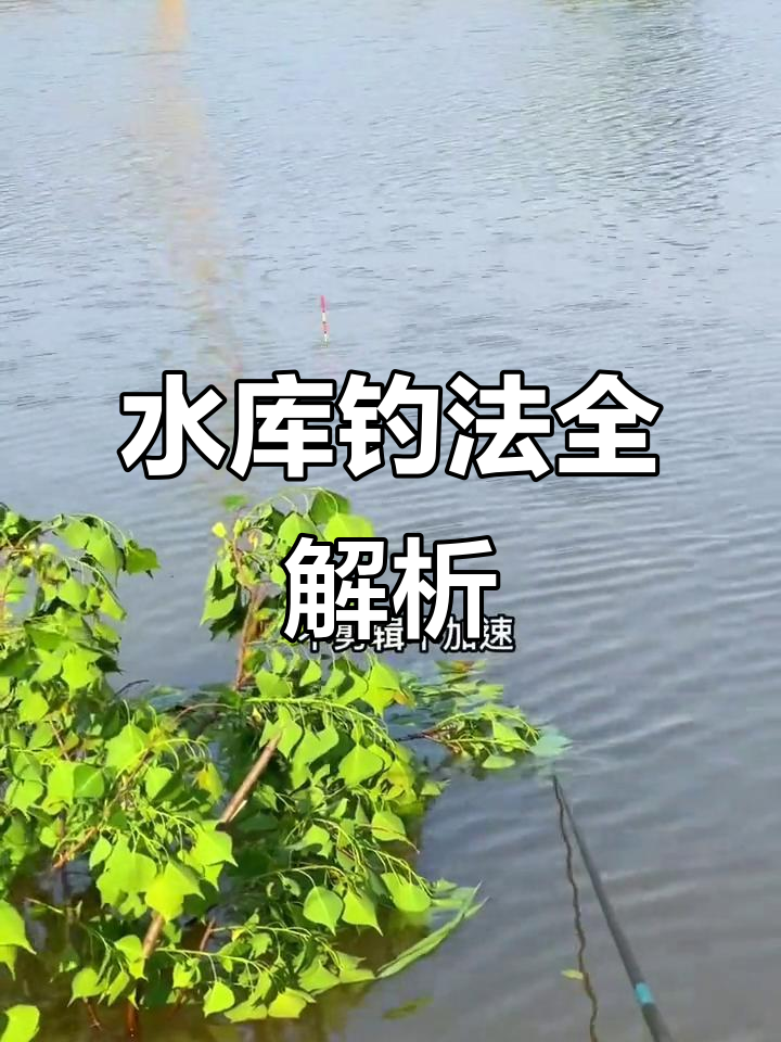 冷水型水库钓鱼技巧(冷水水库适合养什么鱼)