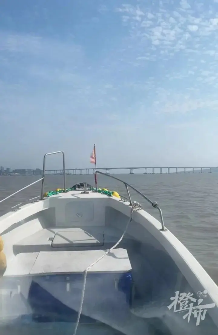 浙江海钓哪里可以去(浙江可以海钓的渔家乐)