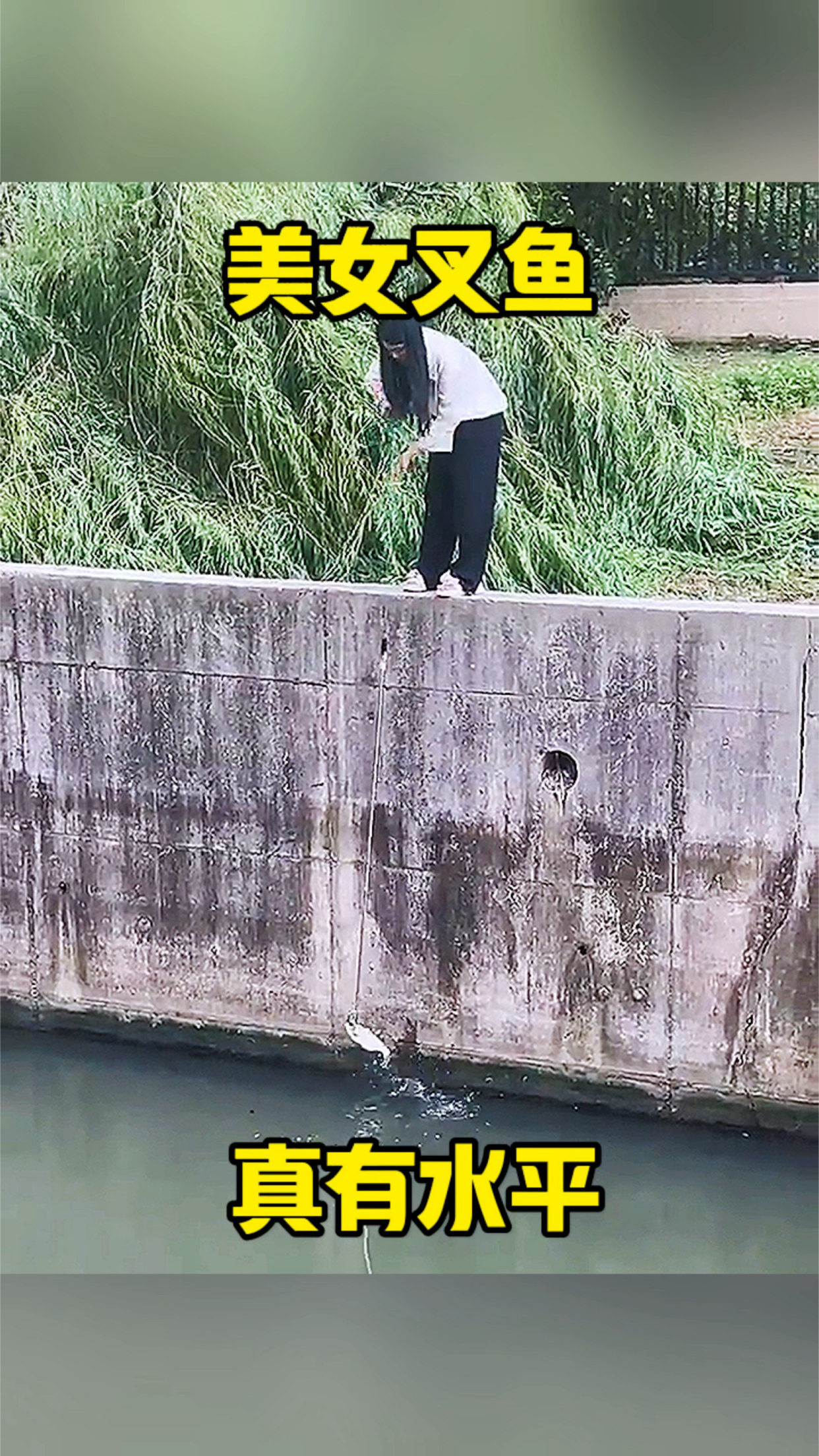 插鱼的技巧(插鱼怎么瞄准)