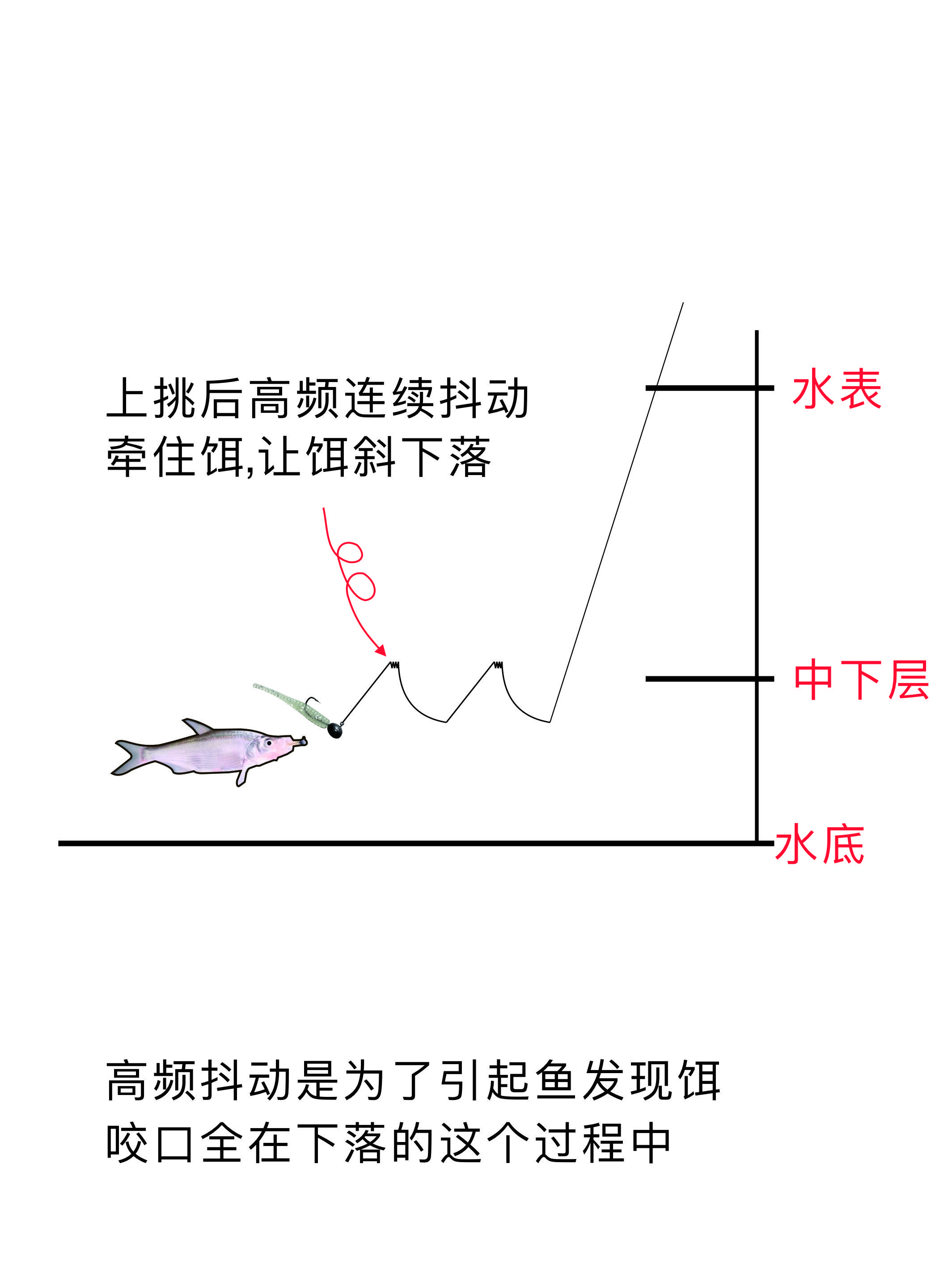 路亚青梢技巧及装备(路亚青梢什么时候结束)