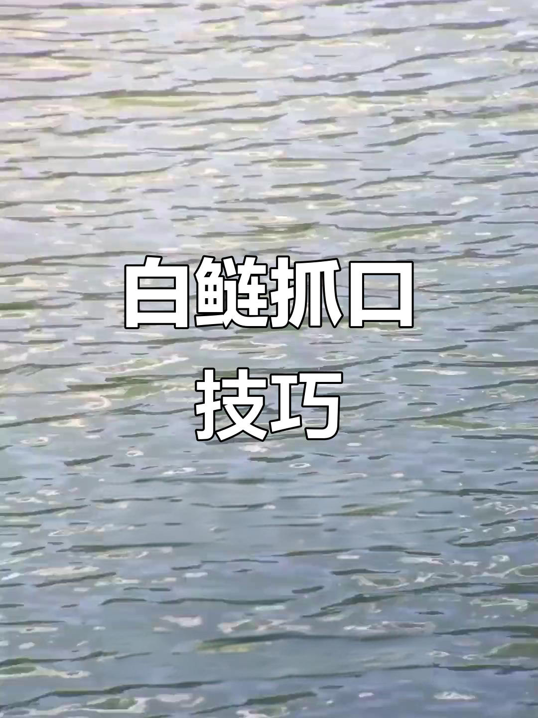 钓花白鲢的技巧(钓花白鲢的技巧和方法视频)
