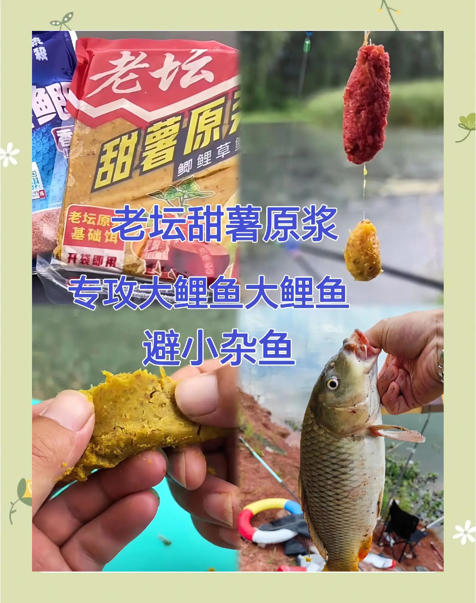 饵料入水多久散开(饵料在水中多长时间就散了)