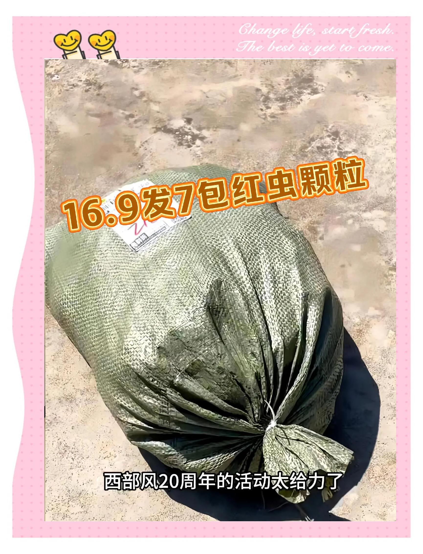 渔具店红虫多钱(渔具店的红虫可以喂鱼)