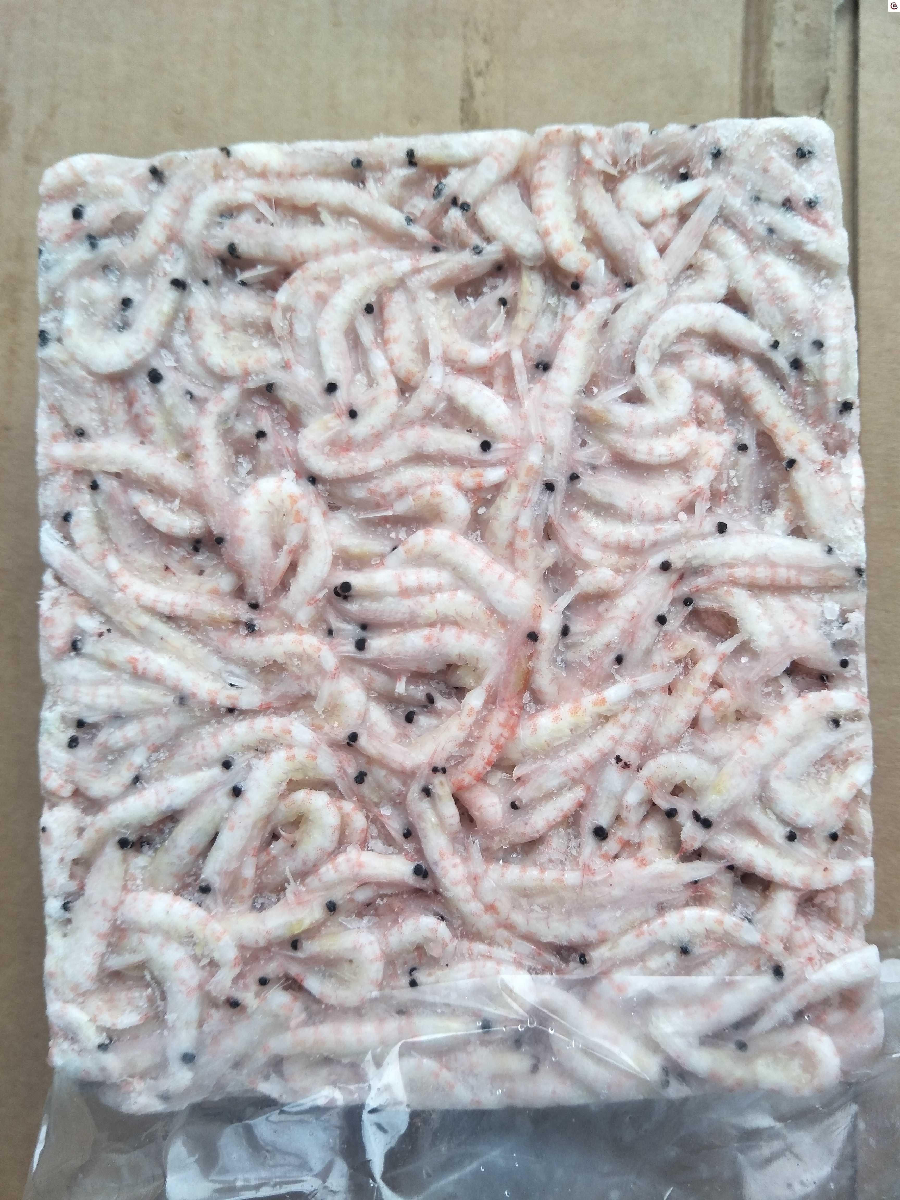 矶钓饵料(矶钓饵料的正确使用方法)