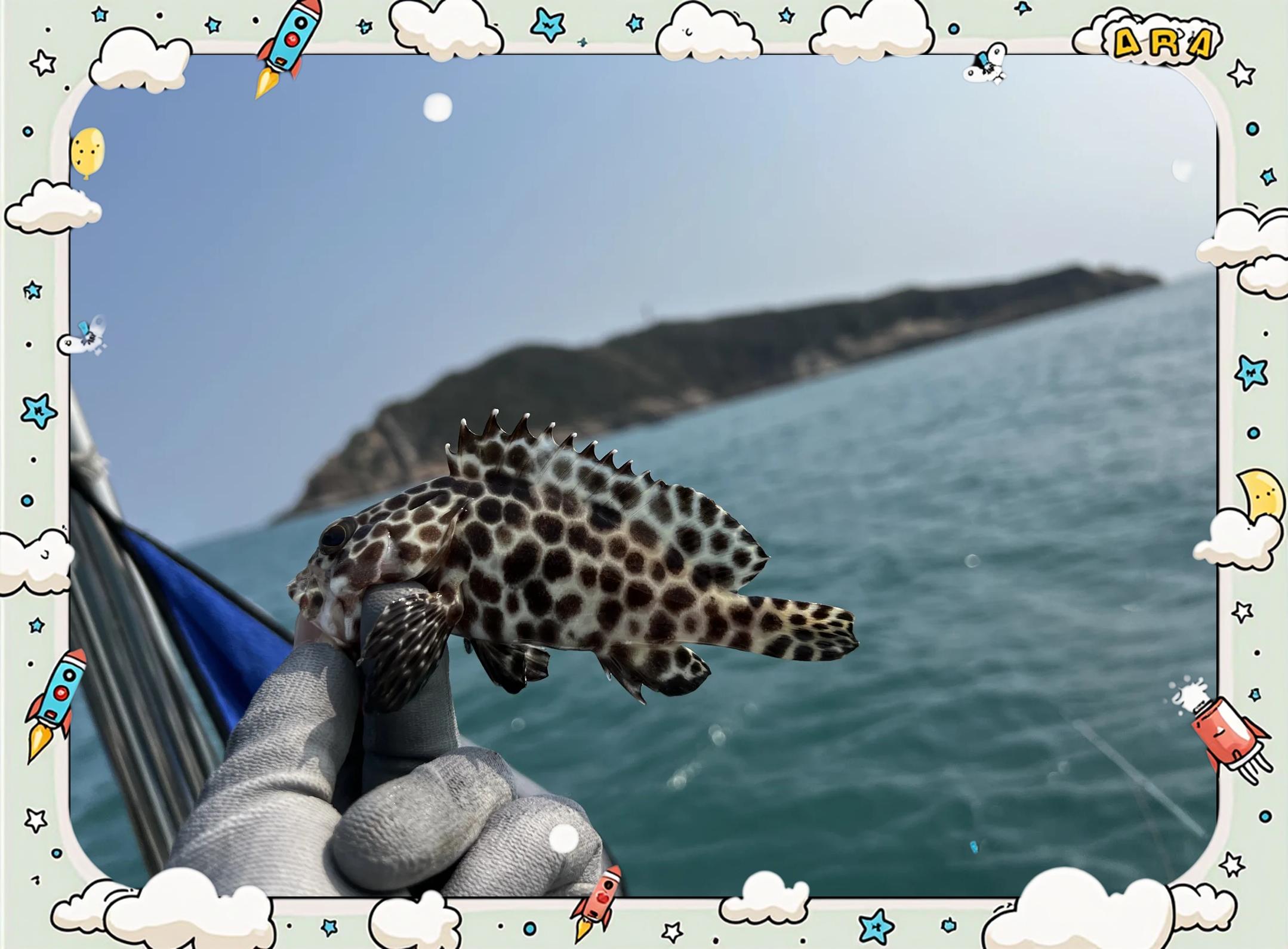 胶南海钓钓点(胶南钓淡水鱼的地方)