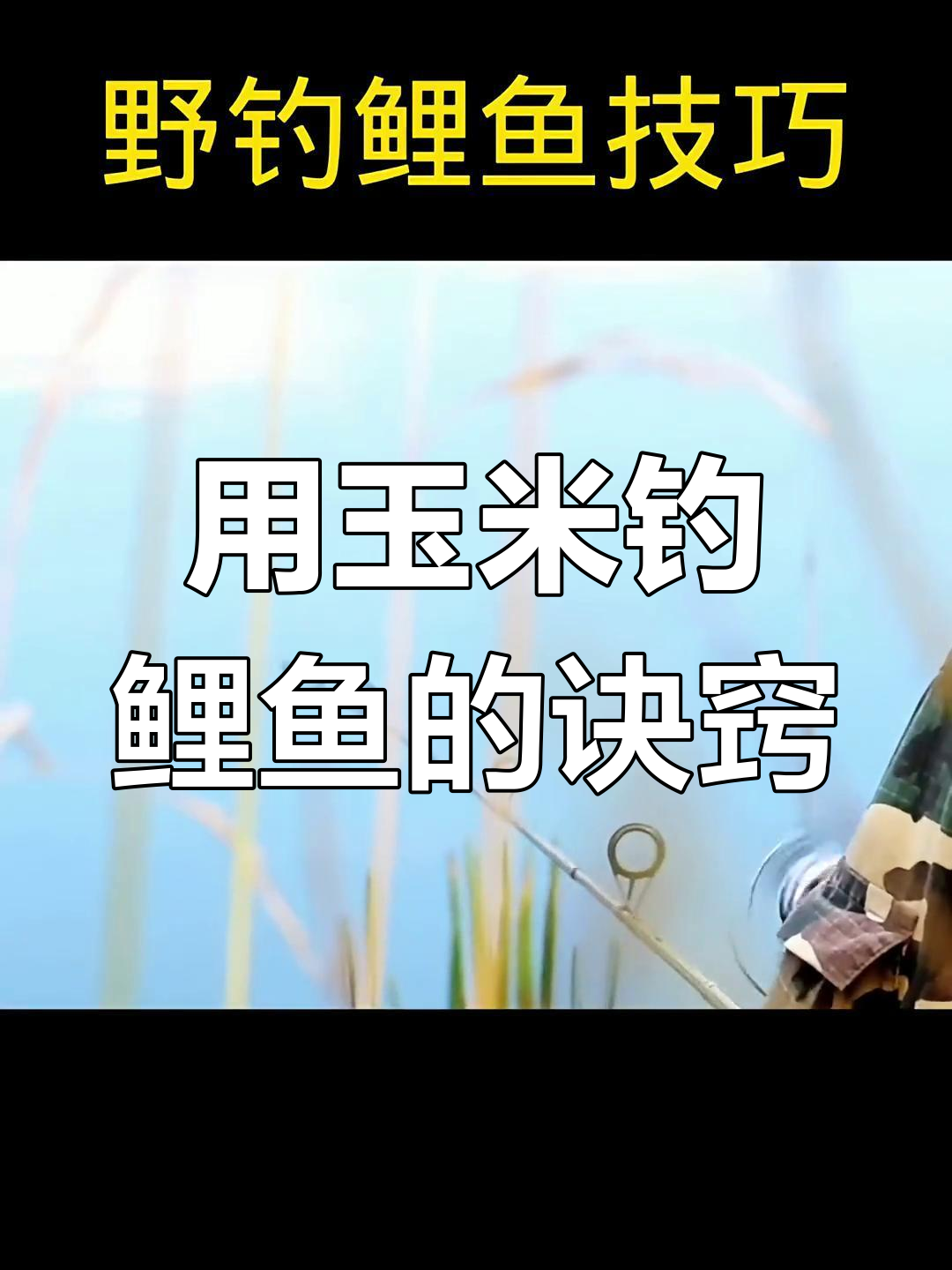 初春水库玉米钓鱼技巧(初春水库玉米钓鱼技巧和方法)