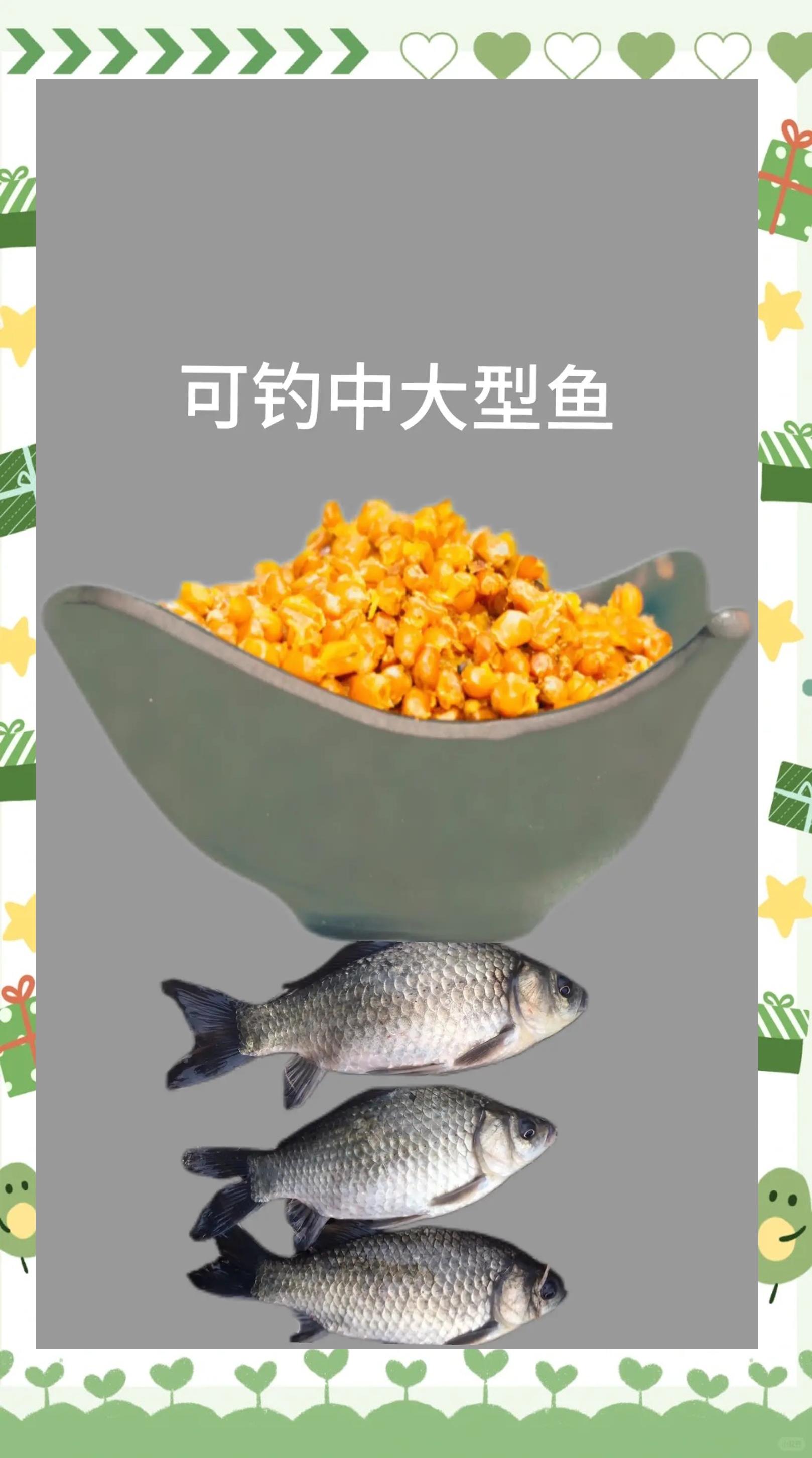 初春水库玉米钓鱼技巧(初春水库玉米钓鱼技巧和方法)