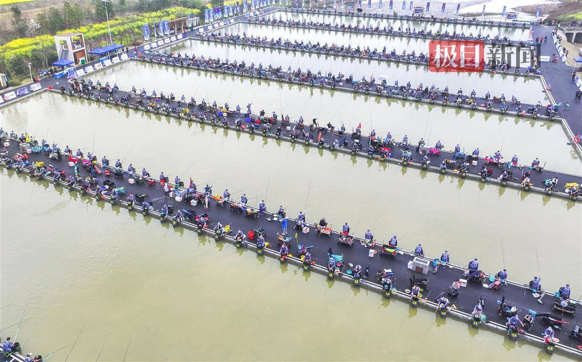 阳江市海钓比赛(阳江海钓鱼的地方推荐)