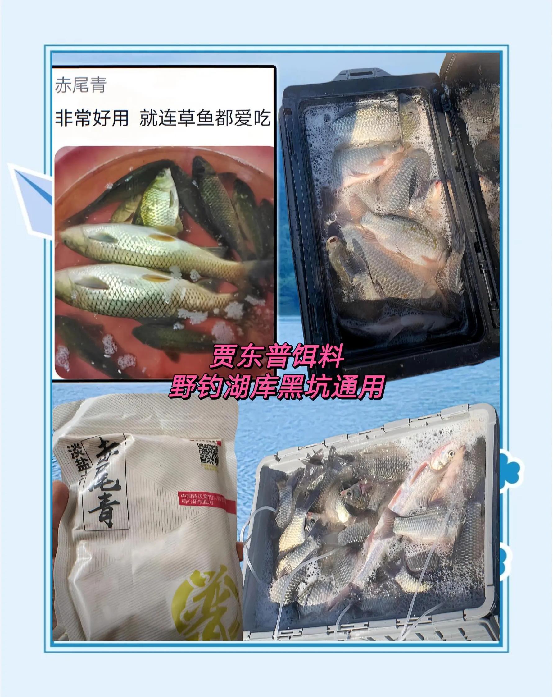 咸水的饵料(咸味饵料好钓鱼吗)