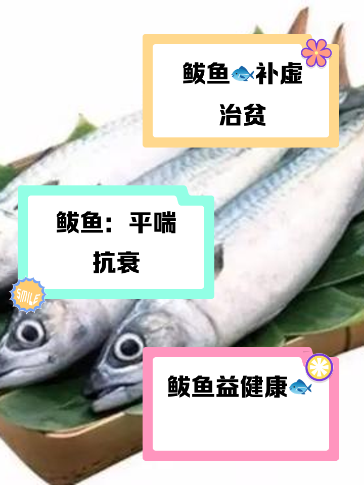 锦州海钓燕鲅鱼(锦州海钓燕鲅鱼怎么样)