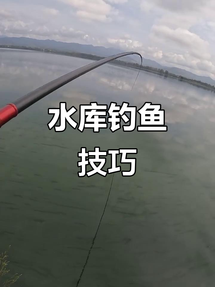 水库中心钓鱼技巧(水库钓鱼技巧大全实用篇)
