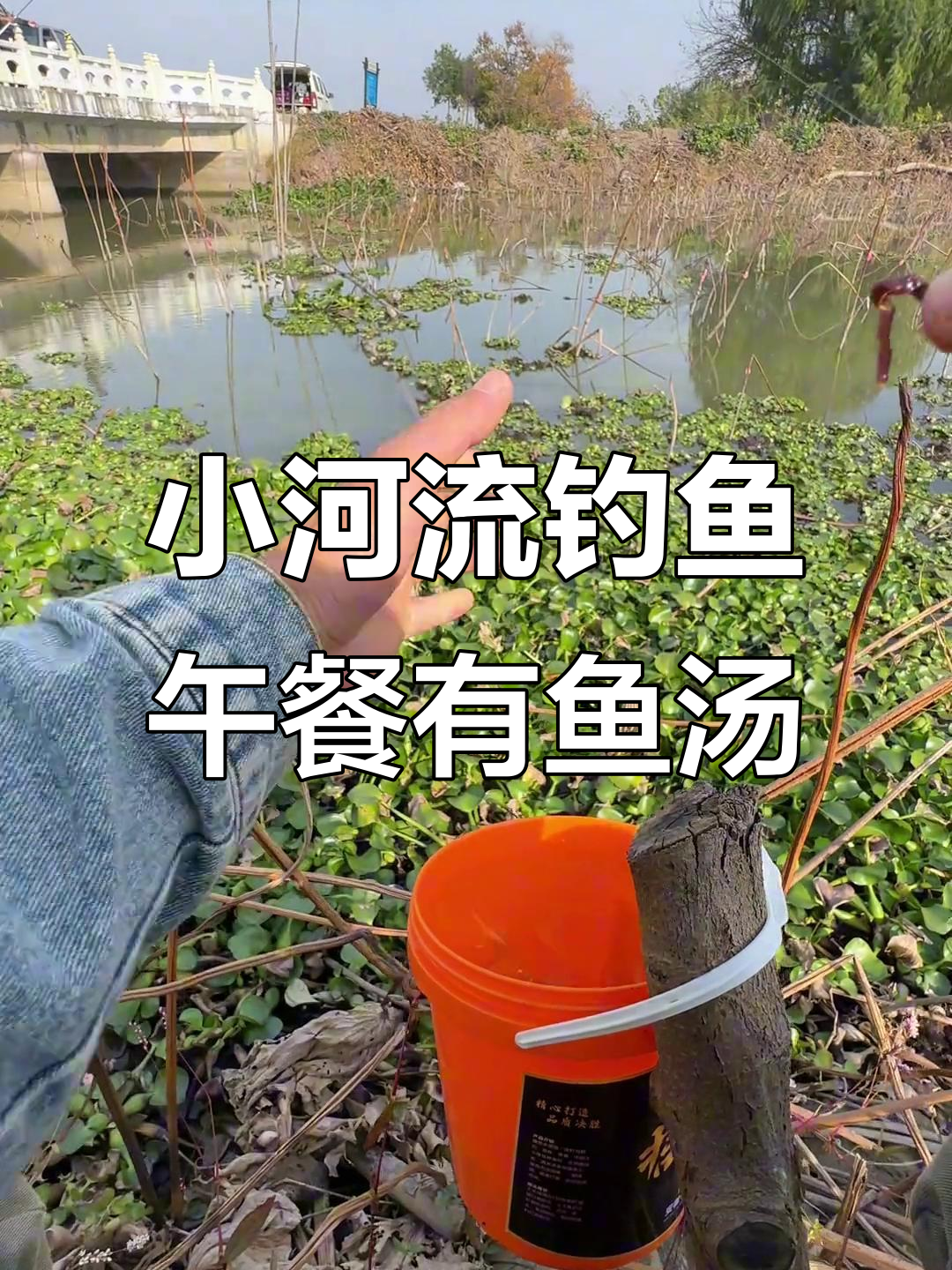 秋季河流野钓鲫鱼技巧(秋季野河钓鲫鱼用什么饵料最好)