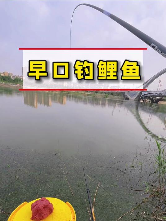 秋季河流野钓鲫鱼技巧(秋季野河钓鲫鱼用什么饵料最好)