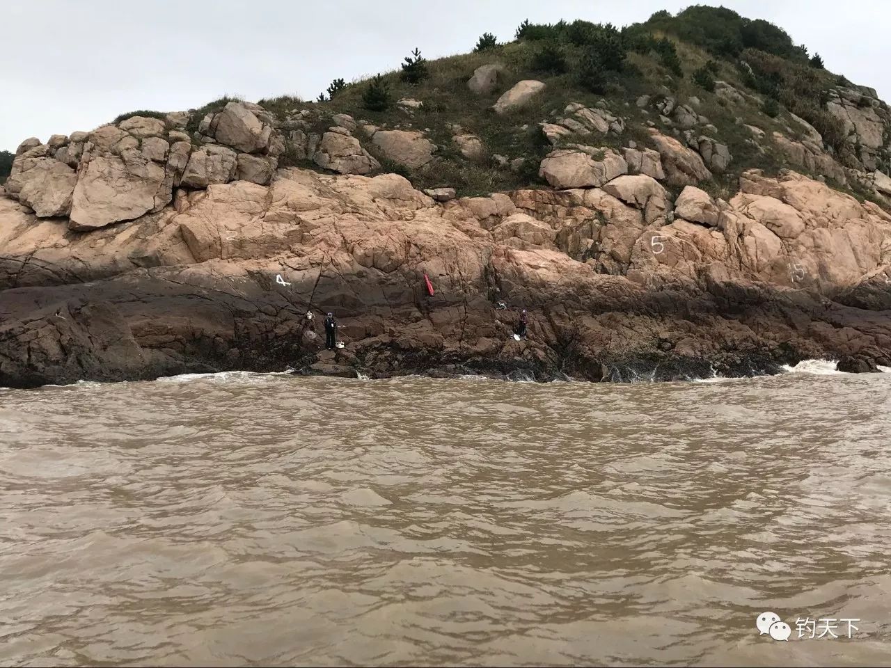浙江个人海钓证(浙江钓鱼证在什么部门办理)