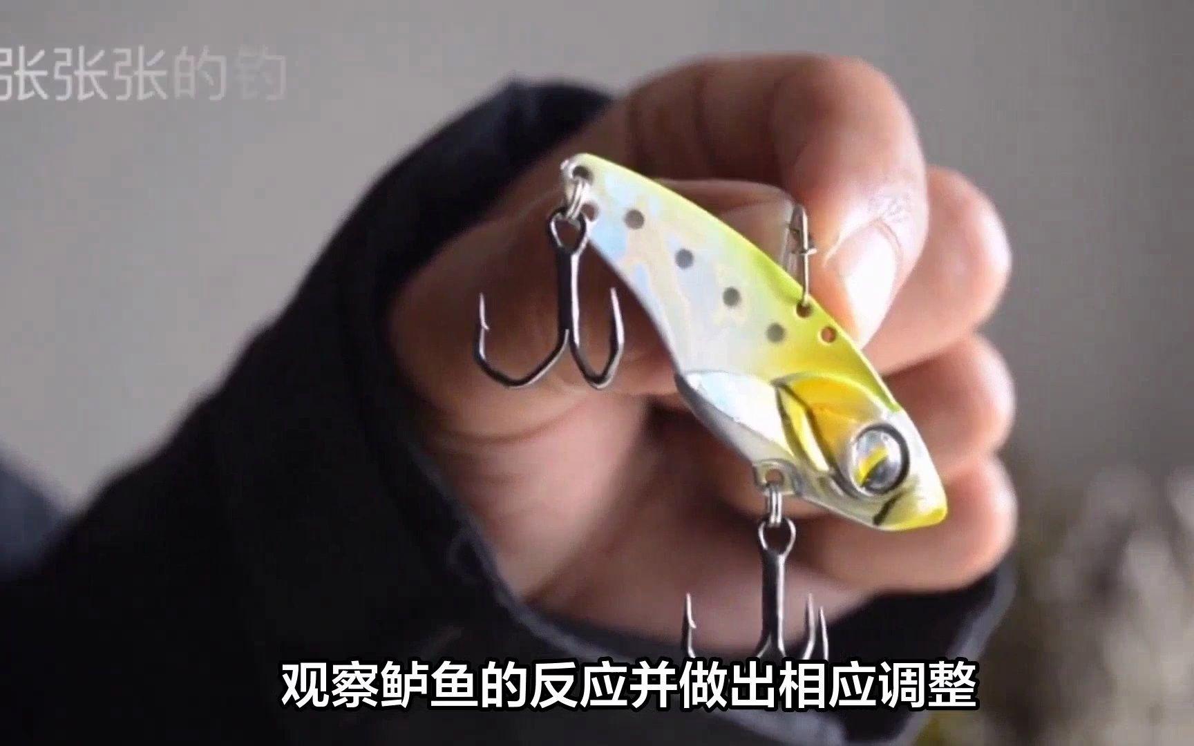 在长江里钓鲈鱼技巧(长江里有没有鲈鱼)