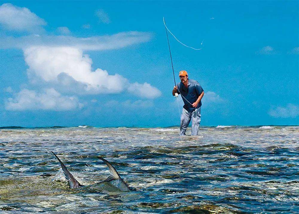风落脚海钓钓鱼(海钓刮什么风好钓鱼)