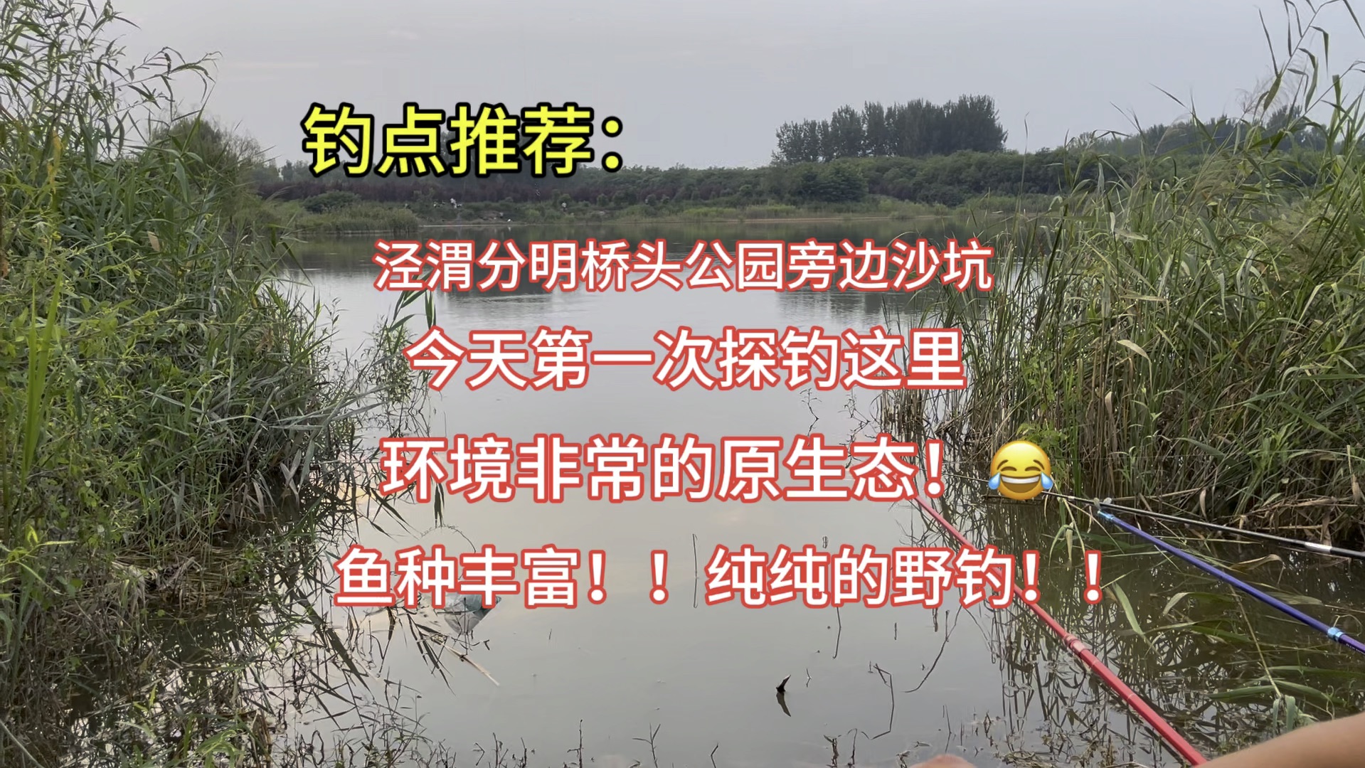 开春野塘钓鱼技巧(开春鱼塘钓鱼钓深还是浅)