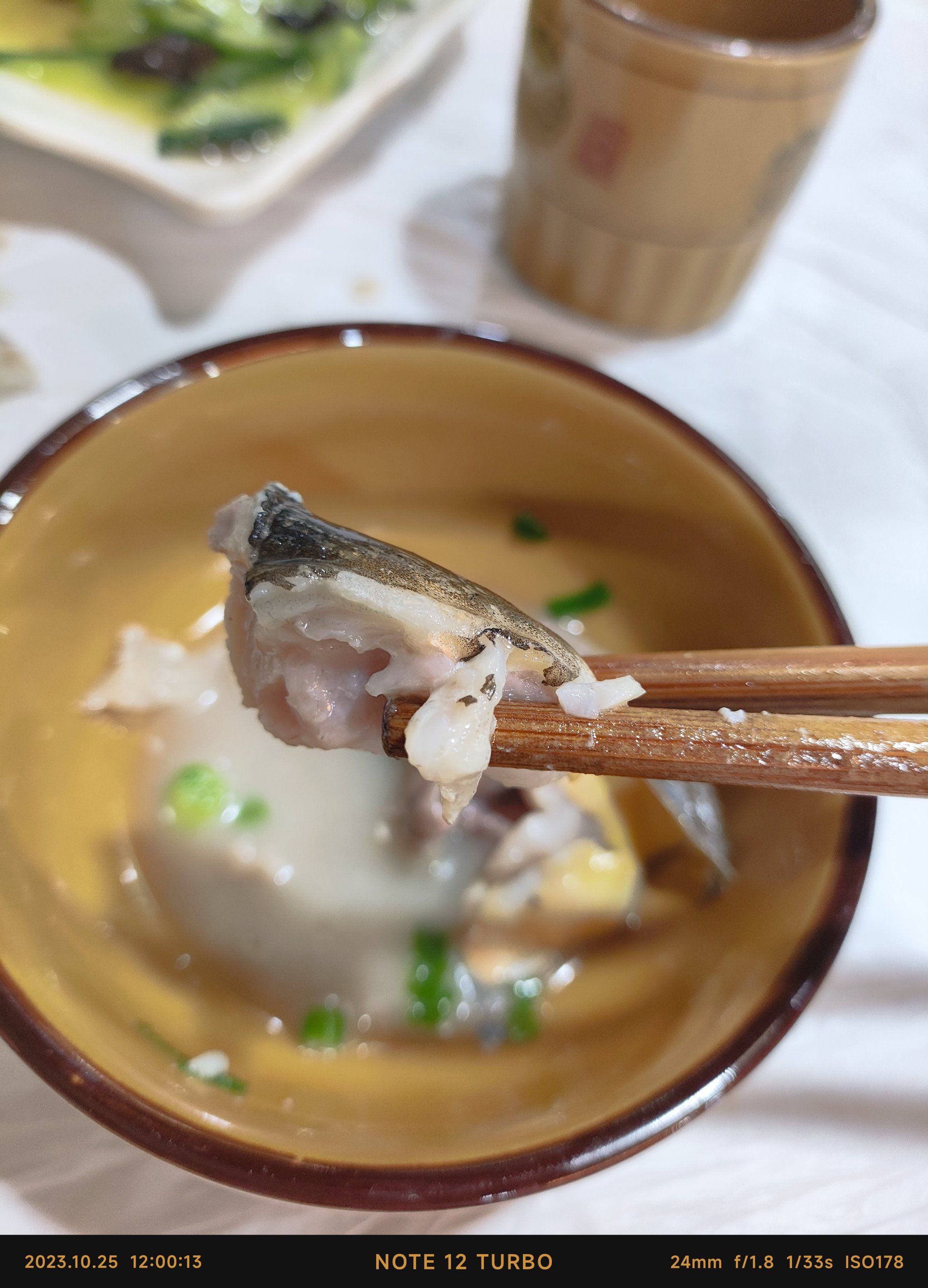 裸班鱼饵料(裸斑鱼用什么饵料钓)