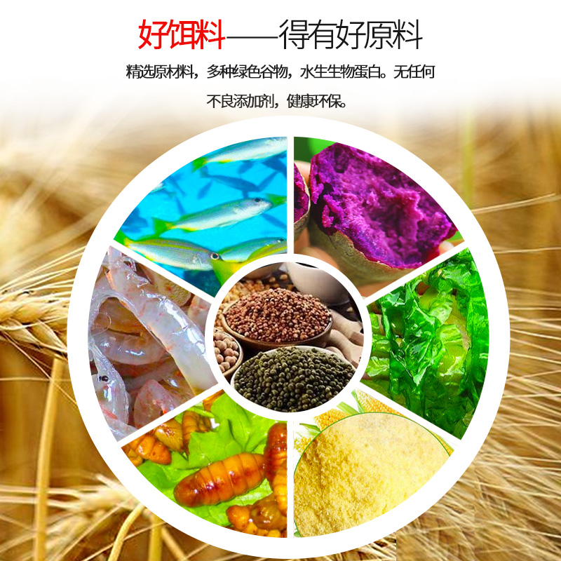 小崔用的四款饵料(小崔钓鱼用的什么饵料)