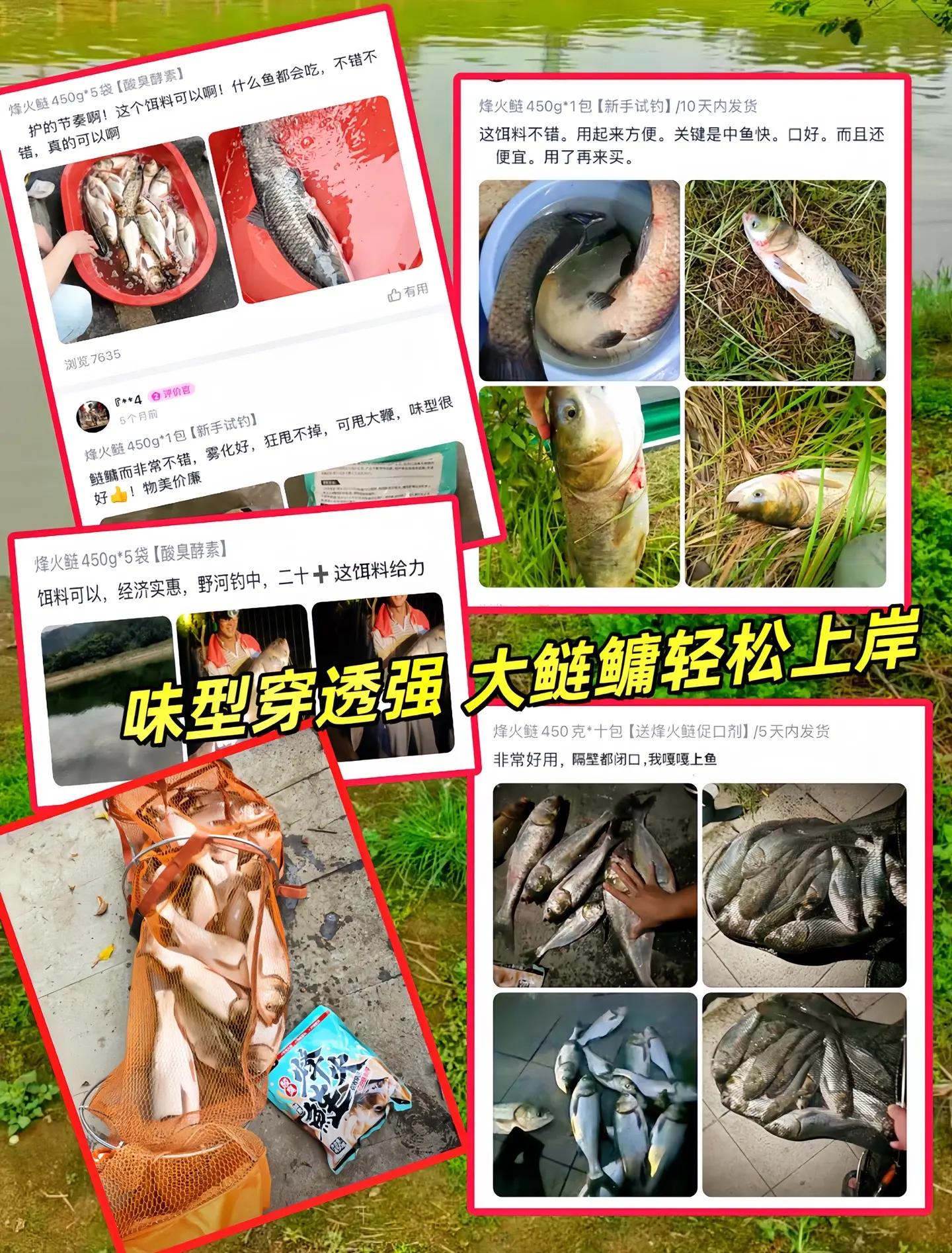 钓鲶鱼的最好饵料(钓鲶鱼用什么饵料最好钓)