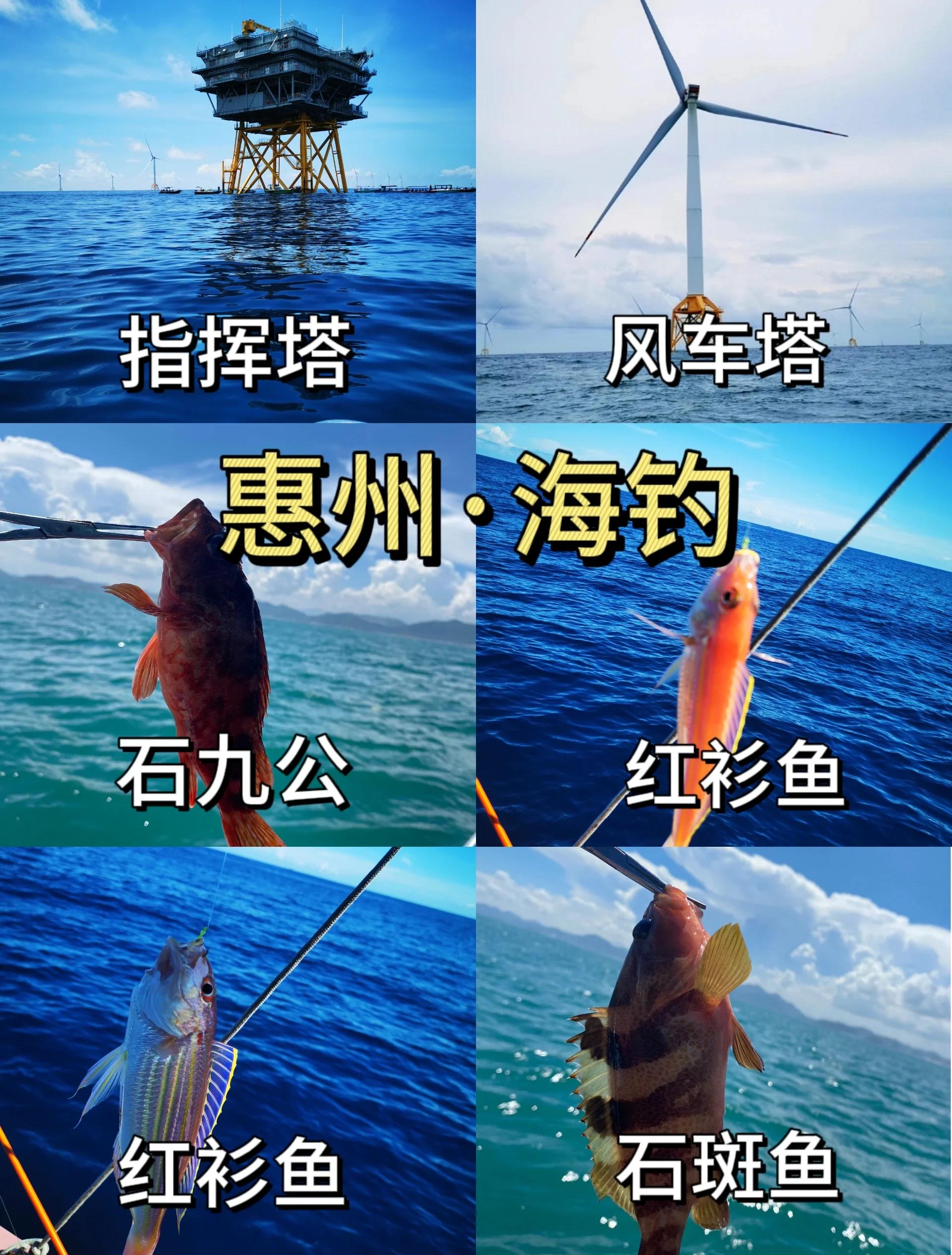 海钓经验与心得(海钓经验与心得感悟)