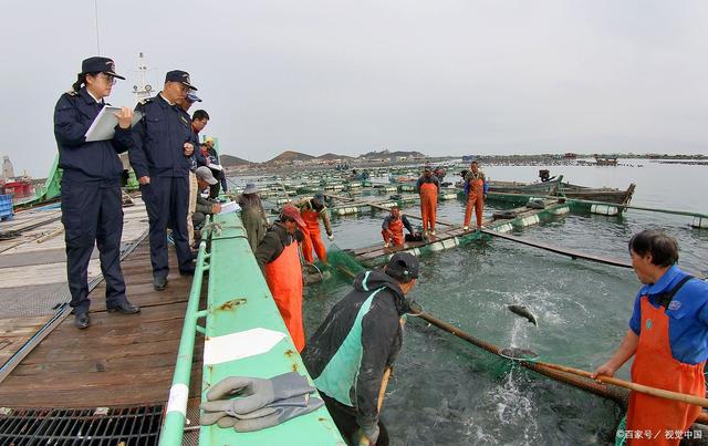 国内海钓场(全国海钓基地)