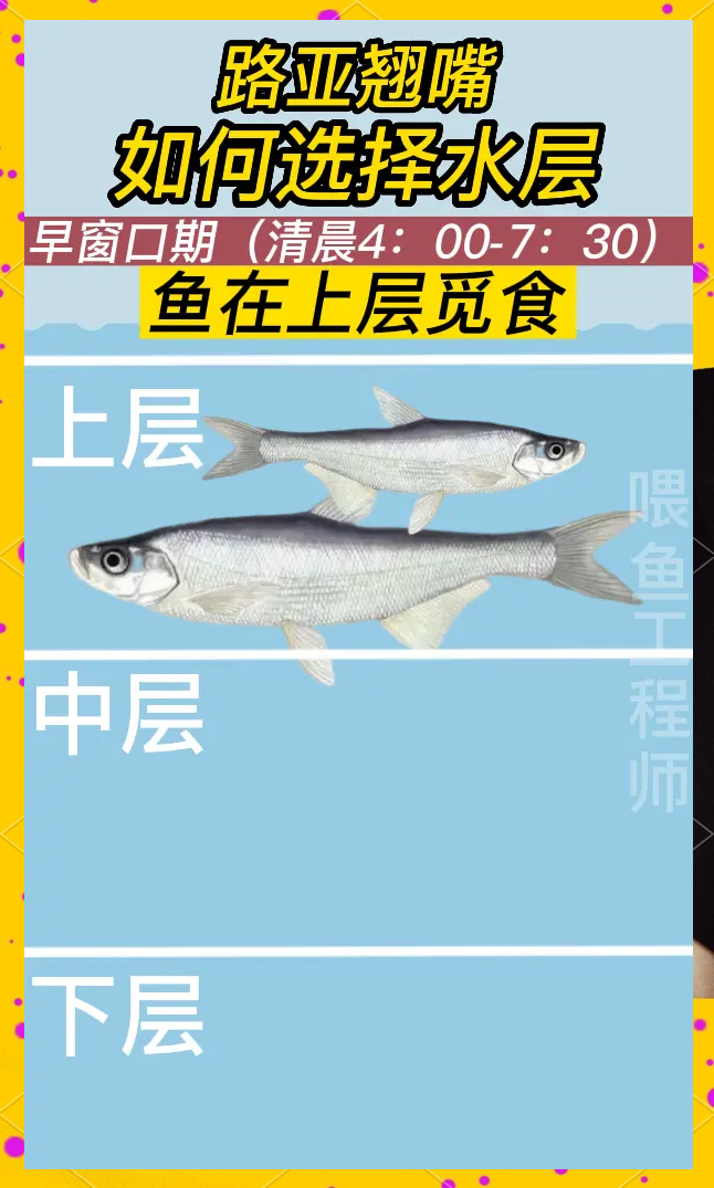 路亚路翘嘴技巧(路亚翘嘴的技巧和方法)
