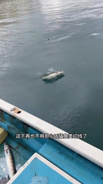 海钓防咬前导线(海钓怎么防咬断子线)