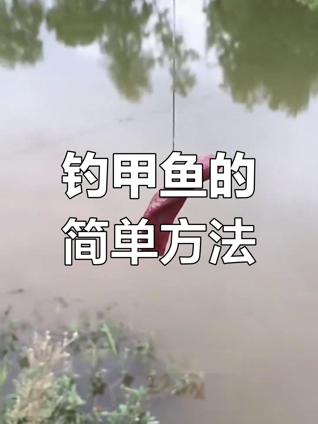 打鳖技巧(打鳖是什么原理)